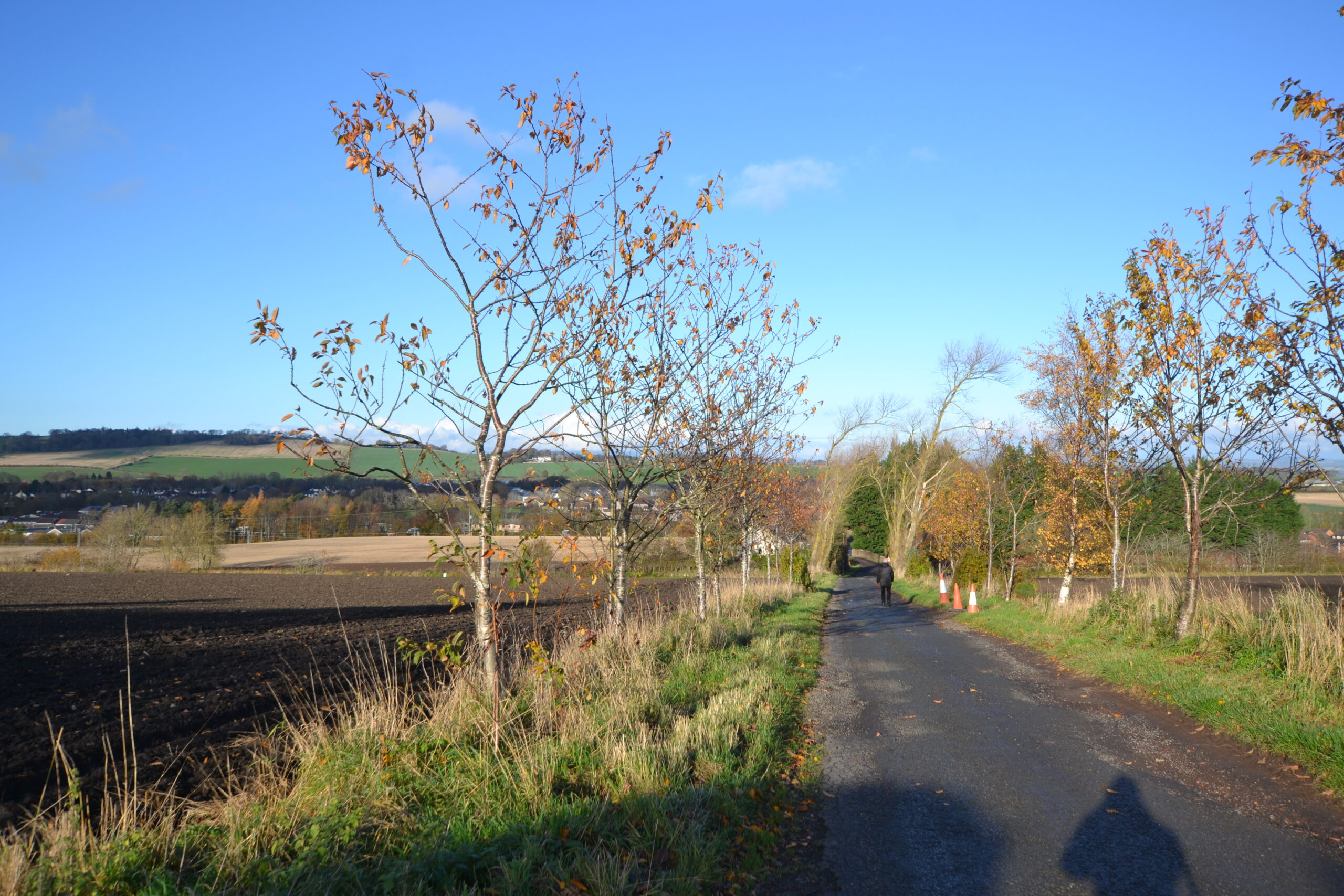 View North Over Site from Farm Access Boundary Road Along Eastern Boundary
